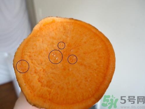 番薯發(fā)芽還能吃嗎？山芋發(fā)芽還能吃嗎？