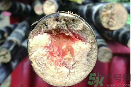 發(fā)霉的甘蔗吃了會中毒嗎？發(fā)霉的甘蔗長什么樣子？