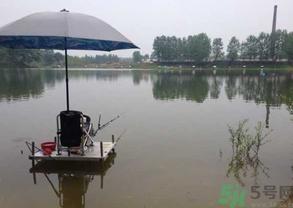 水庫釣魚用什么餌料？水庫釣魚用什么商品餌？