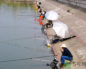 水庫釣魚用什么餌料？水庫釣魚用什么商品餌？