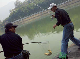 秋季釣黑魚用什么魚餌？秋天釣黑魚用什么餌？