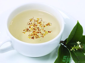 新鮮桂花能泡茶嗎？新鮮桂花怎么處理泡茶？