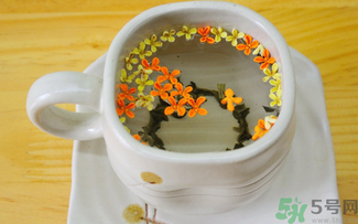 剛摘的桂花可以泡茶嗎？剛摘的桂花能泡茶嗎？