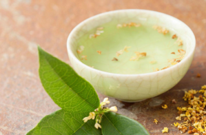 剛摘的桂花可以泡酒嗎？新鮮桂花可以泡酒嗎？