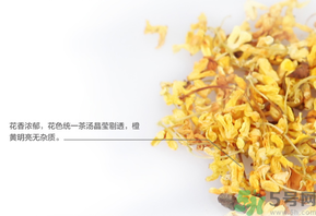 新鮮桂花可以泡水喝嗎？新鮮桂花泡水喝有什么好處？