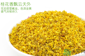剛摘的桂花有蟲怎么辦？干桂花長蟲怎么辦？