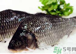 鯽魚死了一夜能吃嗎？鯽魚死了一天能吃嗎？