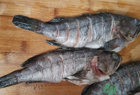 黑魚怎么洗掉身上的粘液？黑魚怎么洗才干凈？