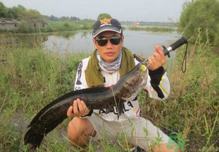 路亞釣黑魚用什么假餌？路亞釣黑魚用什么餌？
