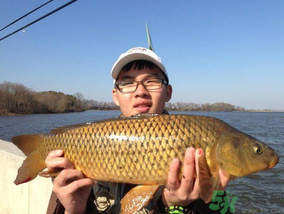 夜釣鯉魚用什么餌料？秋天夜釣鯉魚用什么餌料？