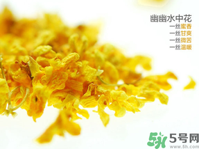 桂花可以泡水喝嗎？桂花怎么泡水？