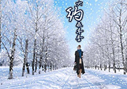 冬天做什么運(yùn)動(dòng)能減肥？冬天做什么運(yùn)動(dòng)好？