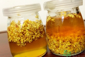 干桂花可以做桂花蜜嗎？干桂花怎么做桂花蜜？