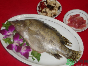 桂魚怎么保存？桂魚放冰箱怎么保存？