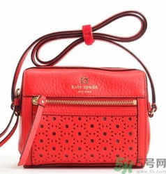 kate spade和coach哪個(gè)好？凱特絲蓓好還是蔻馳好？