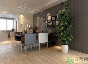 桂花樹可以種在室內(nèi)嗎？桂花樹適合在室內(nèi)嗎？
