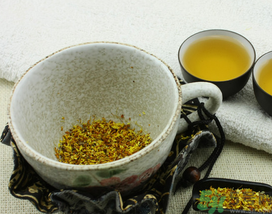 桂花茶怎么搭配效果好？桂花茶搭配什么好？