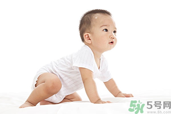 吃南瓜子可以打蟲(chóng)嗎,南瓜子能打蛔蟲(chóng)嗎？