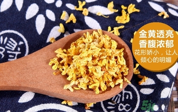 喝桂花茶會上火嗎？喝桂花茶上火怎么辦？