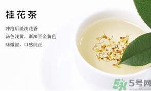 月經(jīng)期能喝桂花茶嗎？經(jīng)期能喝桂花茶嗎？