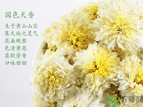 菊花茶可以放冰箱嗎？菊花茶能放冰箱冷凍嗎？