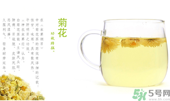 菊花茶可以放冰箱嗎？菊花茶能放冰箱冷凍嗎？
