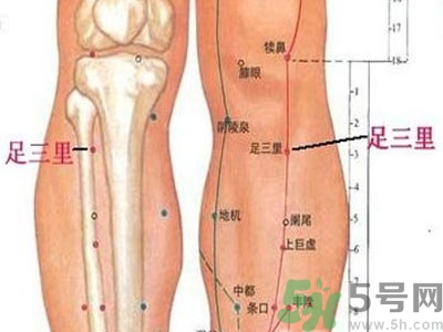 艾灸足三里有什么好處？艾灸足三里的功效