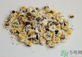 干菊花長(zhǎng)蟲怎么辦？干菊花長(zhǎng)蟲還能喝嗎？