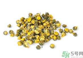 干菊花長(zhǎng)蟲怎么辦？干菊花長(zhǎng)蟲還能喝嗎？