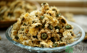 干菊花長(zhǎng)蟲怎么辦？干菊花長(zhǎng)蟲還能喝嗎？