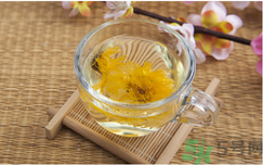 菊花茶可以天天喝嗎？菊花茶喝多了會(huì)怎么樣？