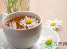 菊花茶可以天天喝嗎？菊花茶喝多了會(huì)怎么樣？