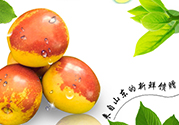 冬棗洗了可以放冰箱嗎？冬棗放冰箱好還是不放冰箱好？