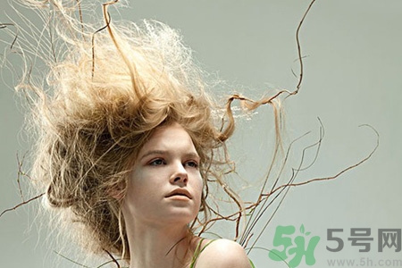 冬天用什么梳子比較好？頭發(fā)總愛靜電用什么梳子好？