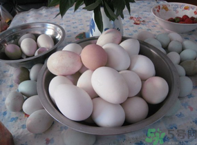 鴨蛋和雞蛋哪個(gè)營養(yǎng)價(jià)值高？鴨蛋和雞蛋的區(qū)別