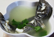 孕婦吃黑魚好嗎？孕婦吃黑魚會(huì)流產(chǎn)嗎？