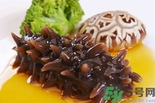 吃海參會(huì)上火嗎？經(jīng)常吃海參會(huì)上火嗎？