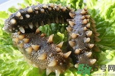 新鮮海參怎么吃最有營養(yǎng)？新鮮海參生吃最有營養(yǎng)嗎？