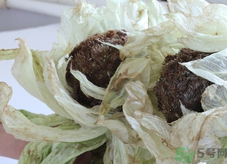 雪蓮花怎么吃？雪蓮花的功效作用