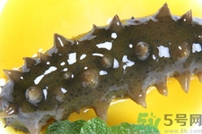 新鮮海參能生吃嗎？新鮮海參是生吃好還是熟吃好？