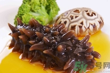 小孩能吃海參嗎？四種人不適合吃海參
