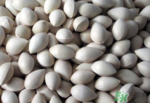 吃白果有什么好處和壞處？吃白果有什么作用？