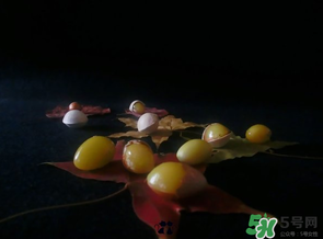 白果可以放微波爐嗎？白果放微波爐轉(zhuǎn)幾分鐘？