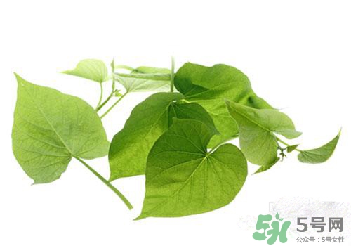 紅薯葉吃多了好嗎？紅薯葉吃多了會怎樣？