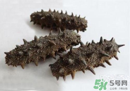海參肚子里的筋能吃嗎？海參肚子里的筋吃了有什么作用？