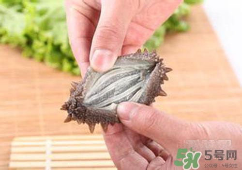 海參肚子里的筋能吃嗎？海參肚子里的筋吃了有什么作用？