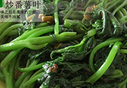 紅薯葉不能和什么一起吃？紅薯葉什么不能吃？