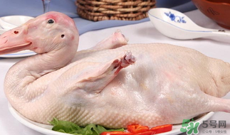 鴨肉可以放冰箱嗎？鴨肉放冰箱能保鮮多久？