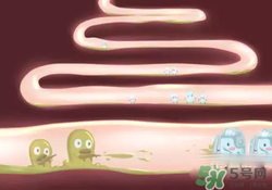 益生菌可以長(zhǎng)期吃嗎？益生菌什么時(shí)候吃比較好？