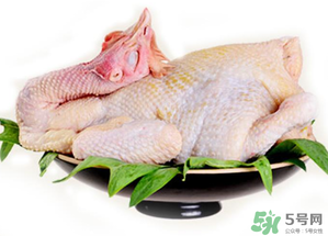 冷凍肉可以放多久？速凍肉可以放多久？